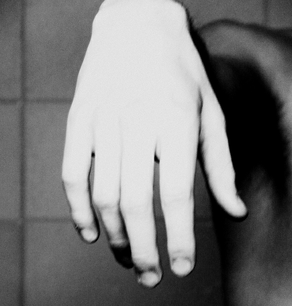 Archillect ID 74293