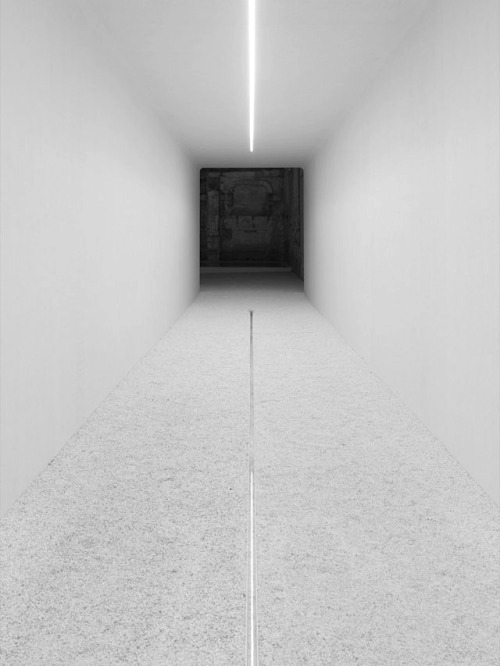 Archillect ID 74365