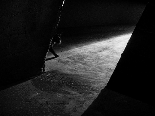 Archillect ID 74392