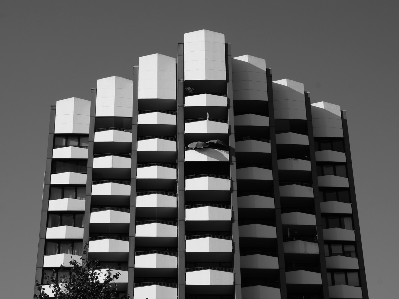 Archillect ID 74463