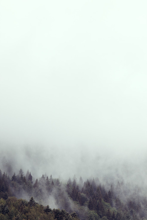 Archillect ID 74506