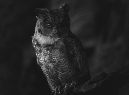 Archillect ID 74670