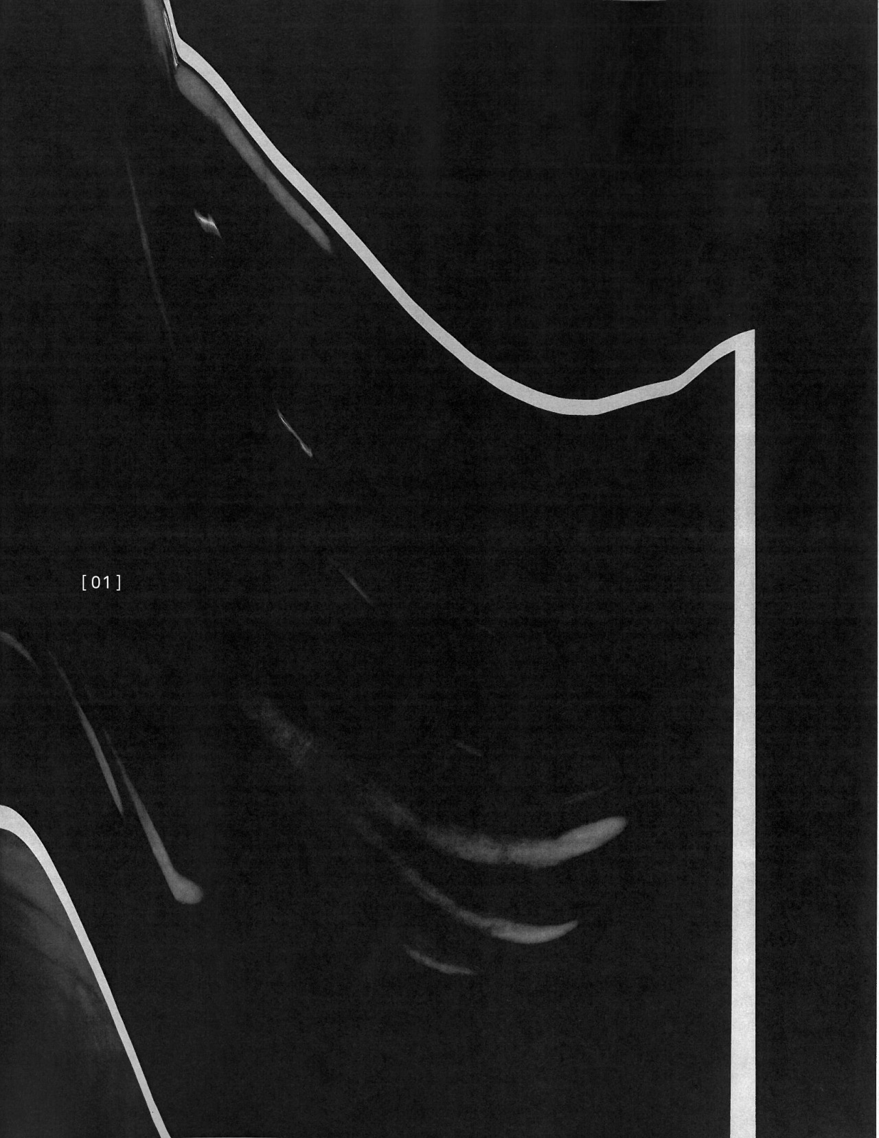 Archillect ID 74732