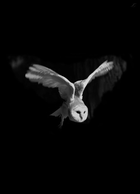Archillect ID 74743