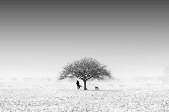 Archillect ID 74781