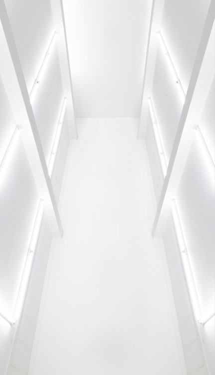 Archillect ID 74783