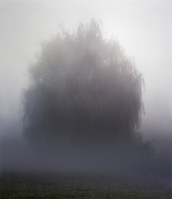 Archillect ID 74792