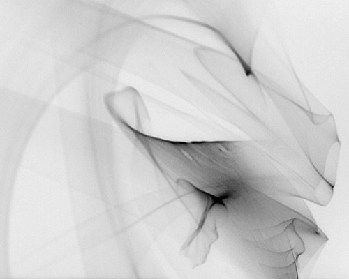 Archillect ID 74869
