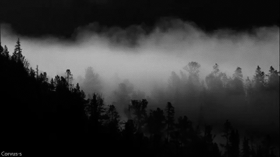 Archillect ID 74936