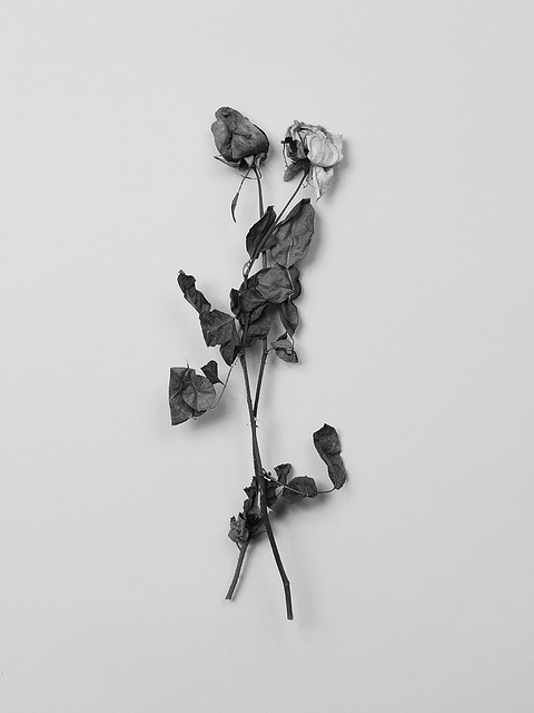 Archillect ID 75081