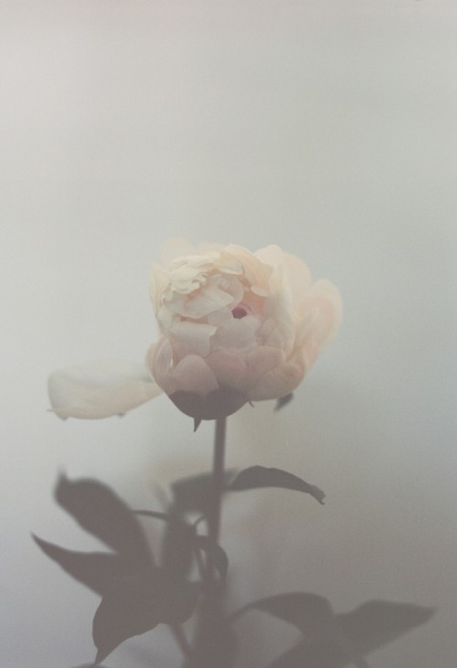 Archillect ID 75089