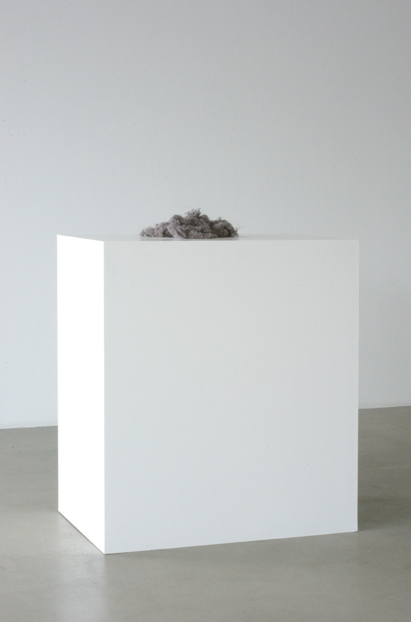 Archillect ID 75137