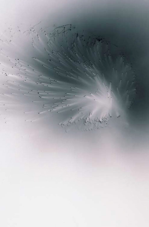 Archillect ID 75164