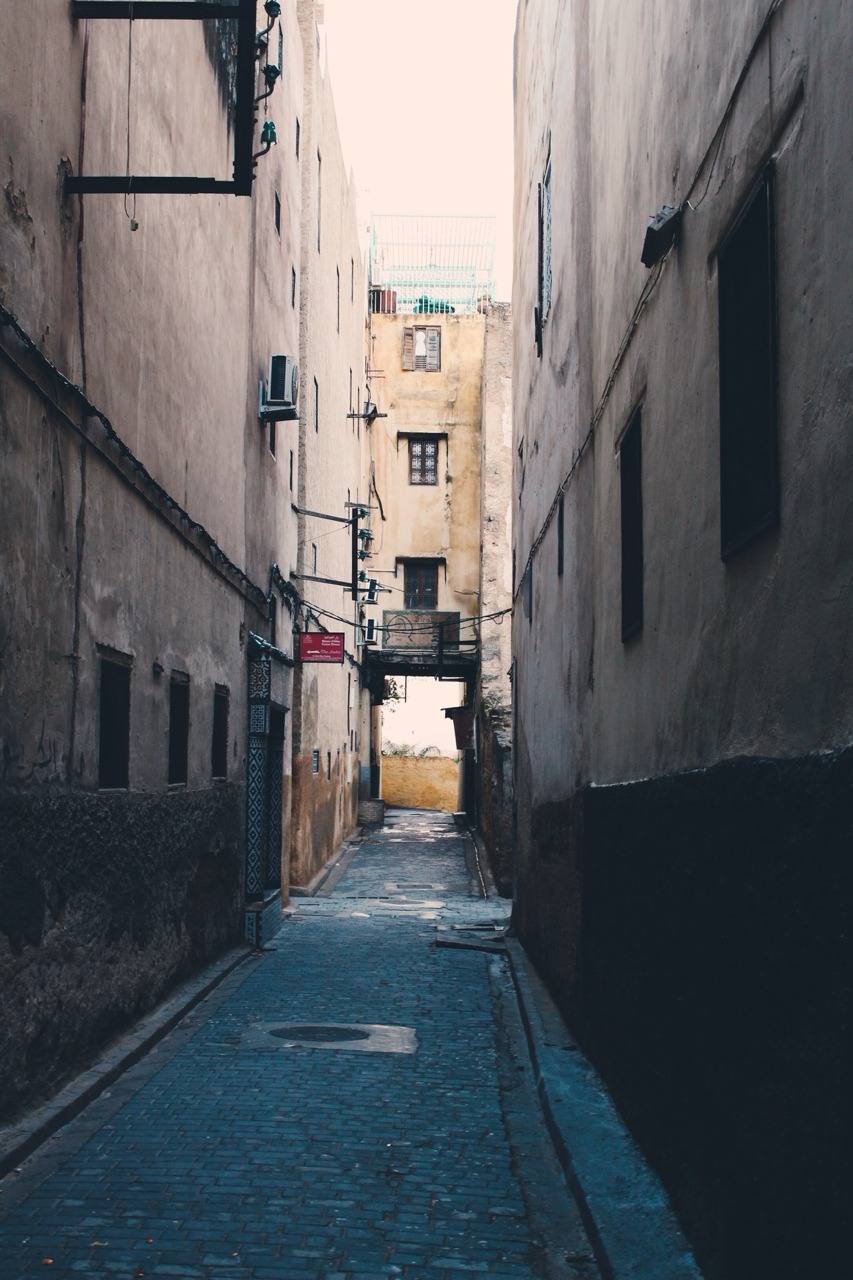 Archillect ID 75296