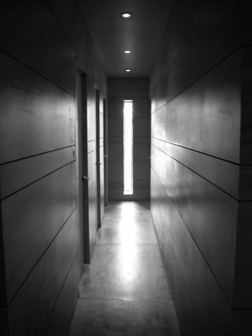 Archillect ID 75372