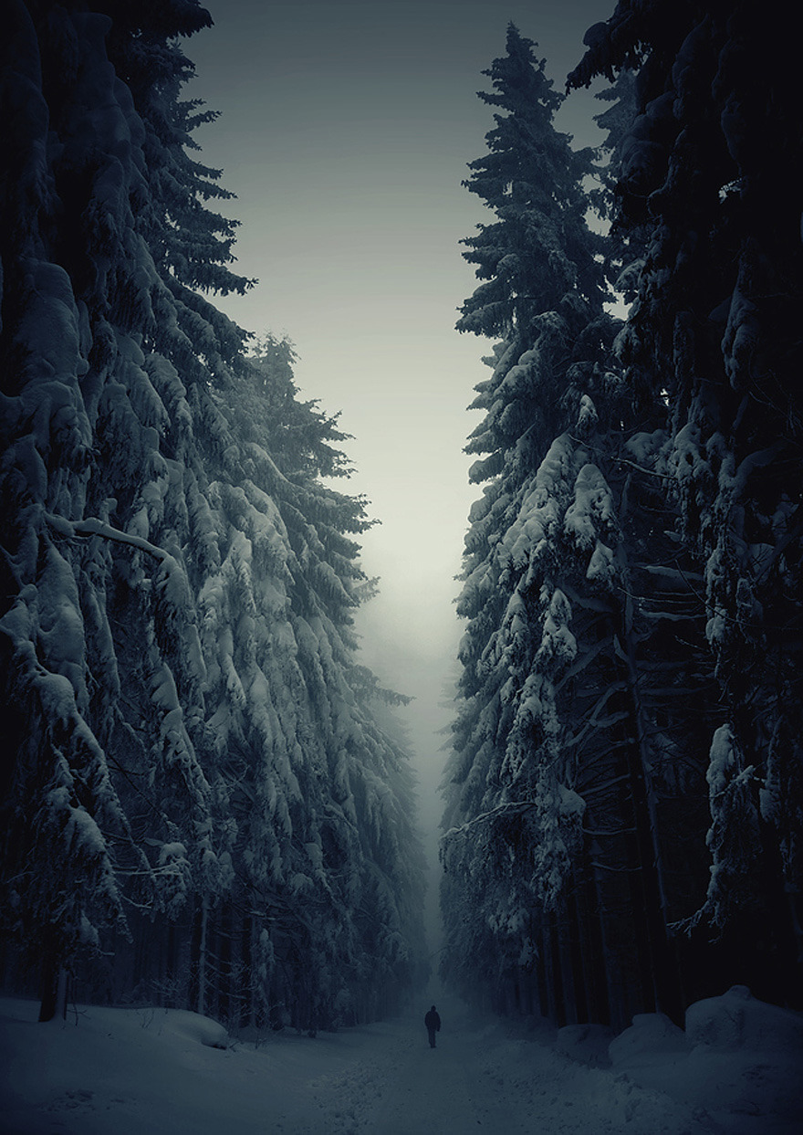 Archillect ID 75390