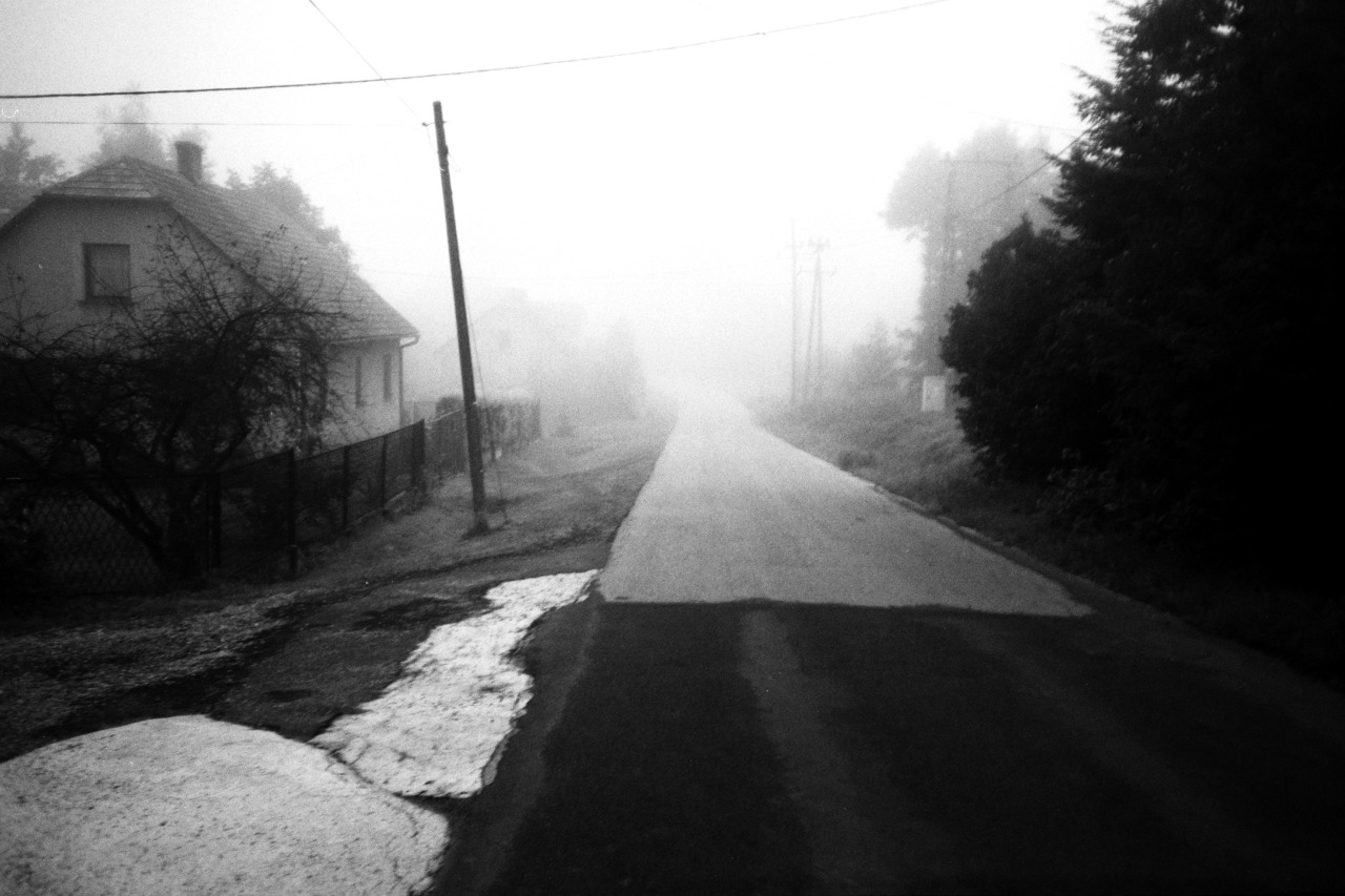 Archillect ID 75440