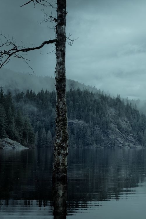 Archillect ID 75529