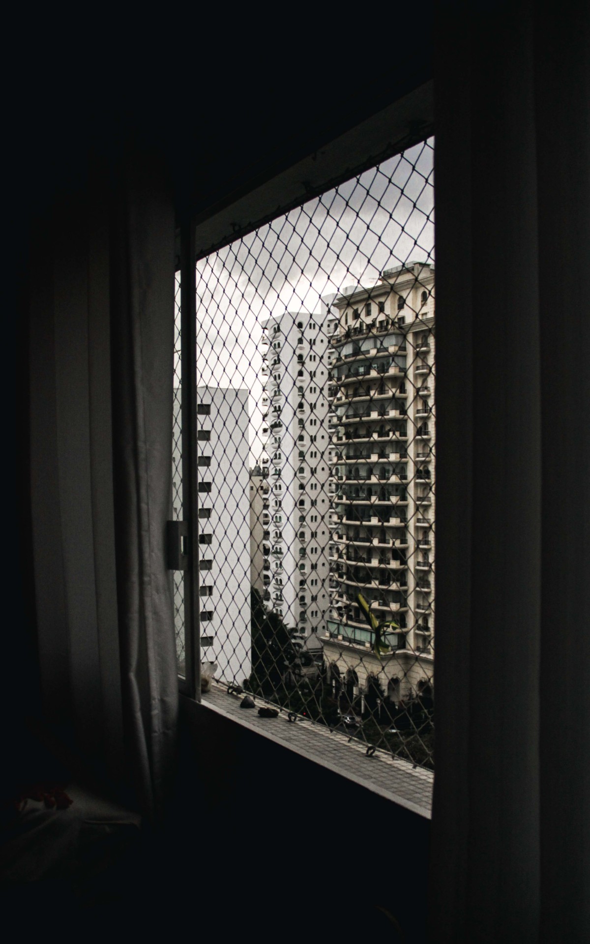 Archillect ID 75615