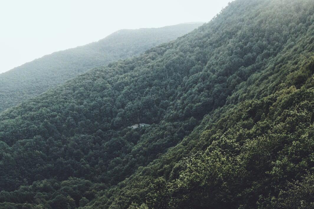 Archillect ID 75840