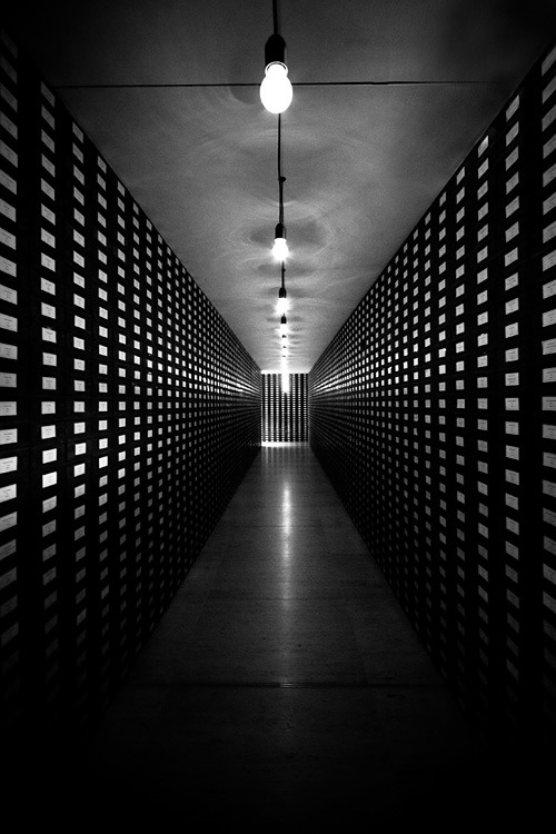 Archillect ID 75928
