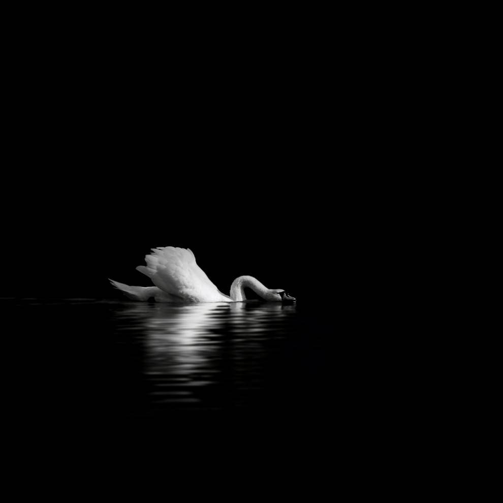Archillect ID 75943