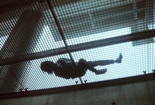 Archillect ID 75992