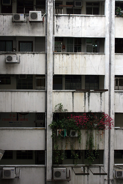 Archillect ID 76012