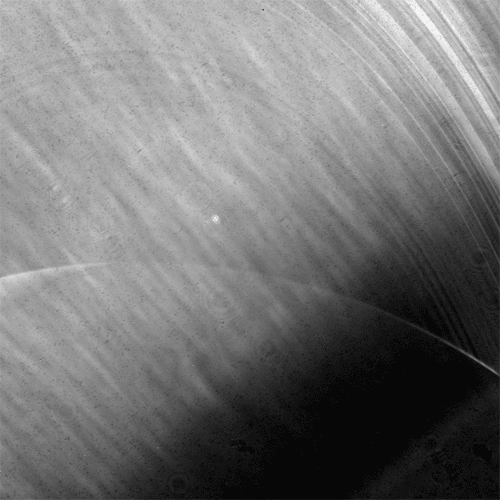 Archillect ID 76035