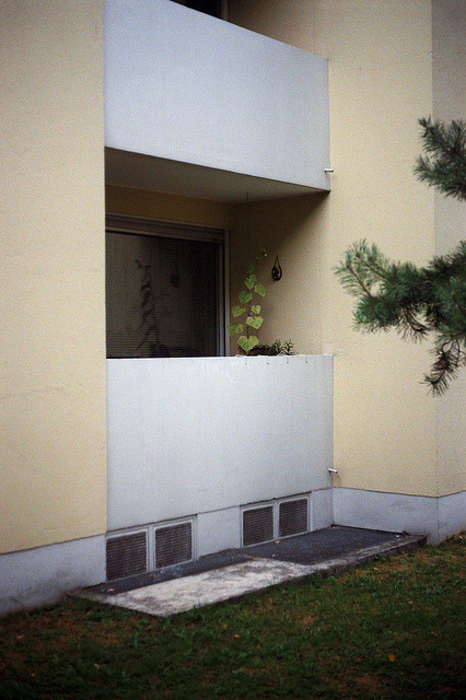 Archillect ID 76217