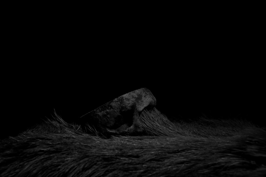 Archillect ID 76226