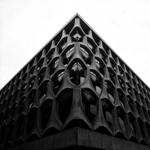 Archillect ID 76263