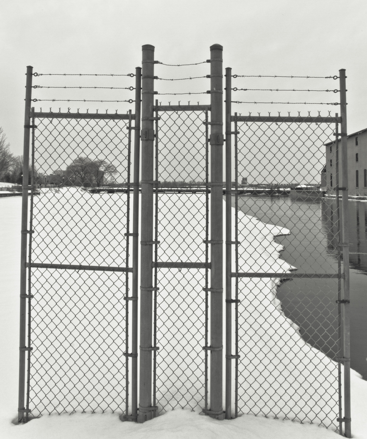 Archillect ID 76283