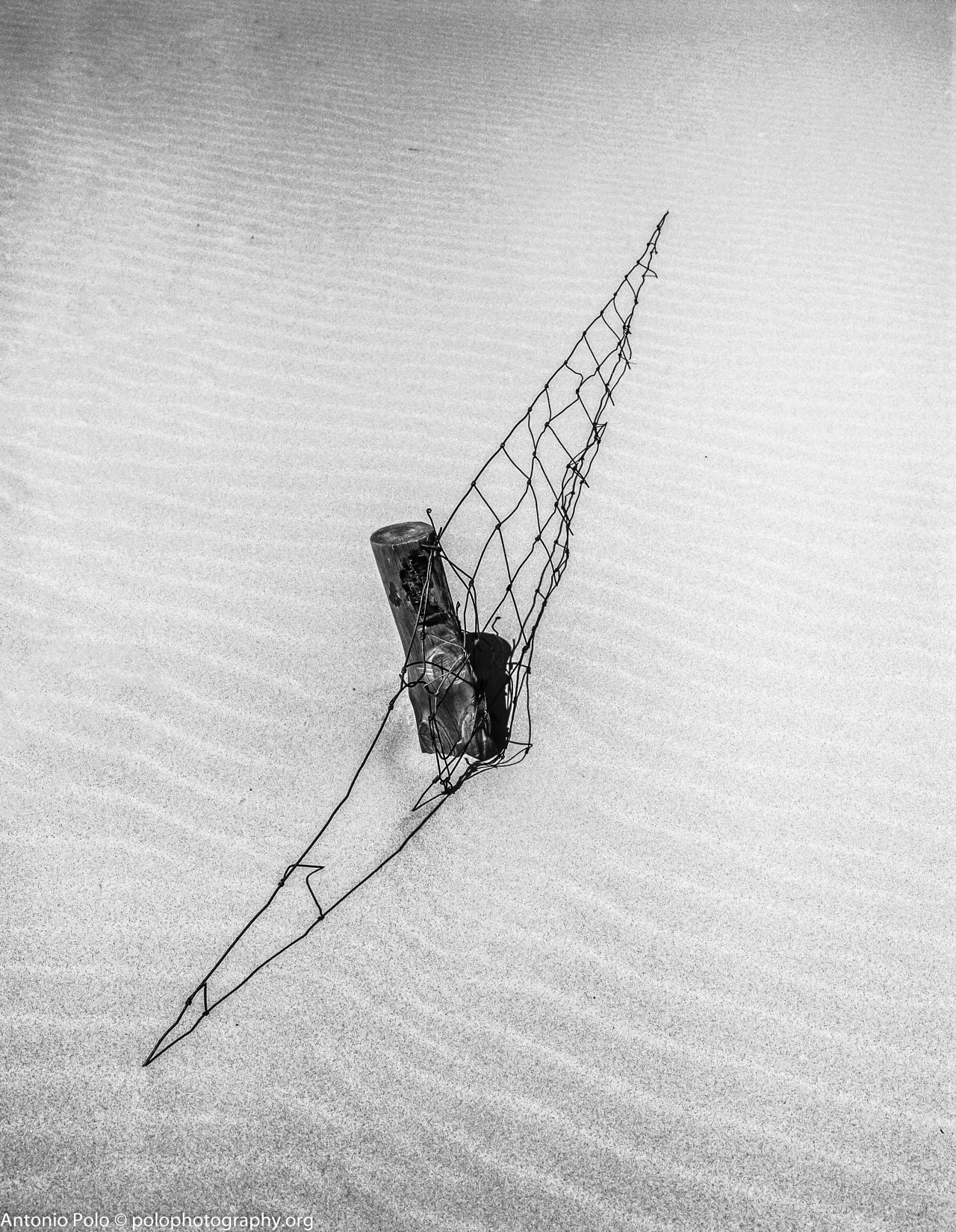 Archillect ID 76292