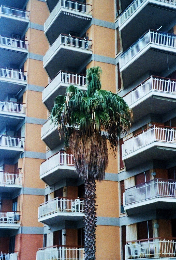 Archillect ID 76315