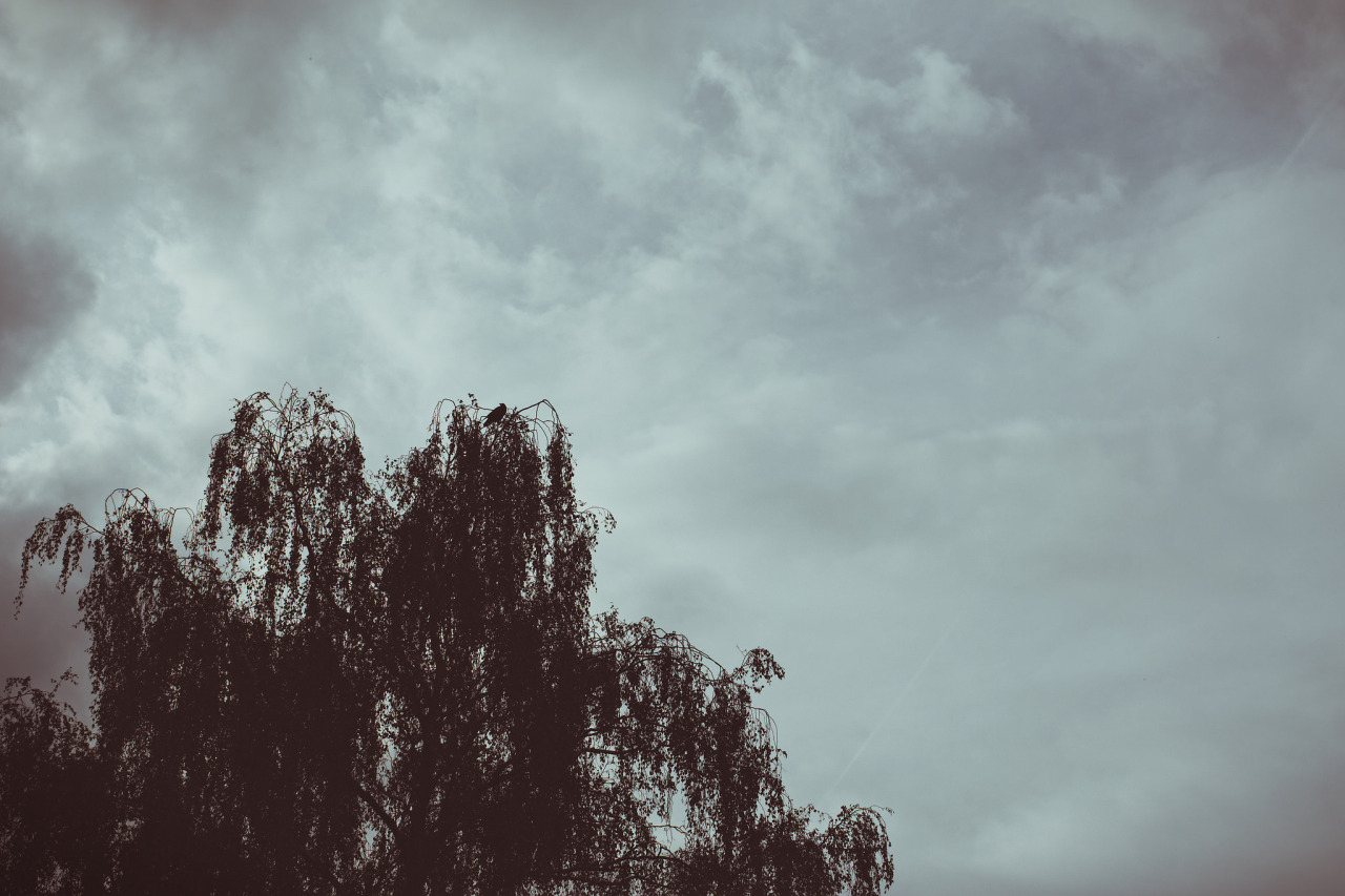 Archillect ID 76339