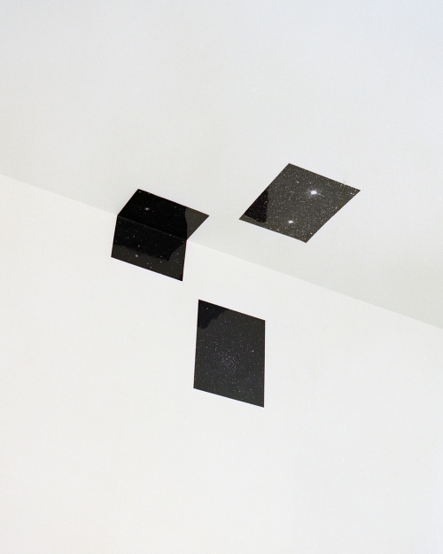 Archillect ID 76375