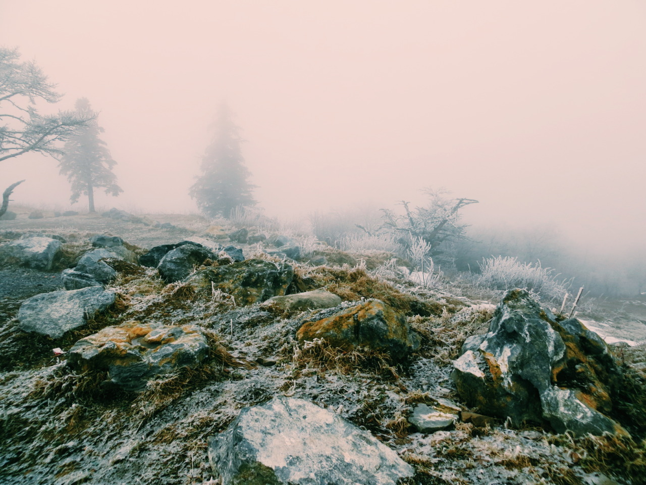 Archillect ID 76495