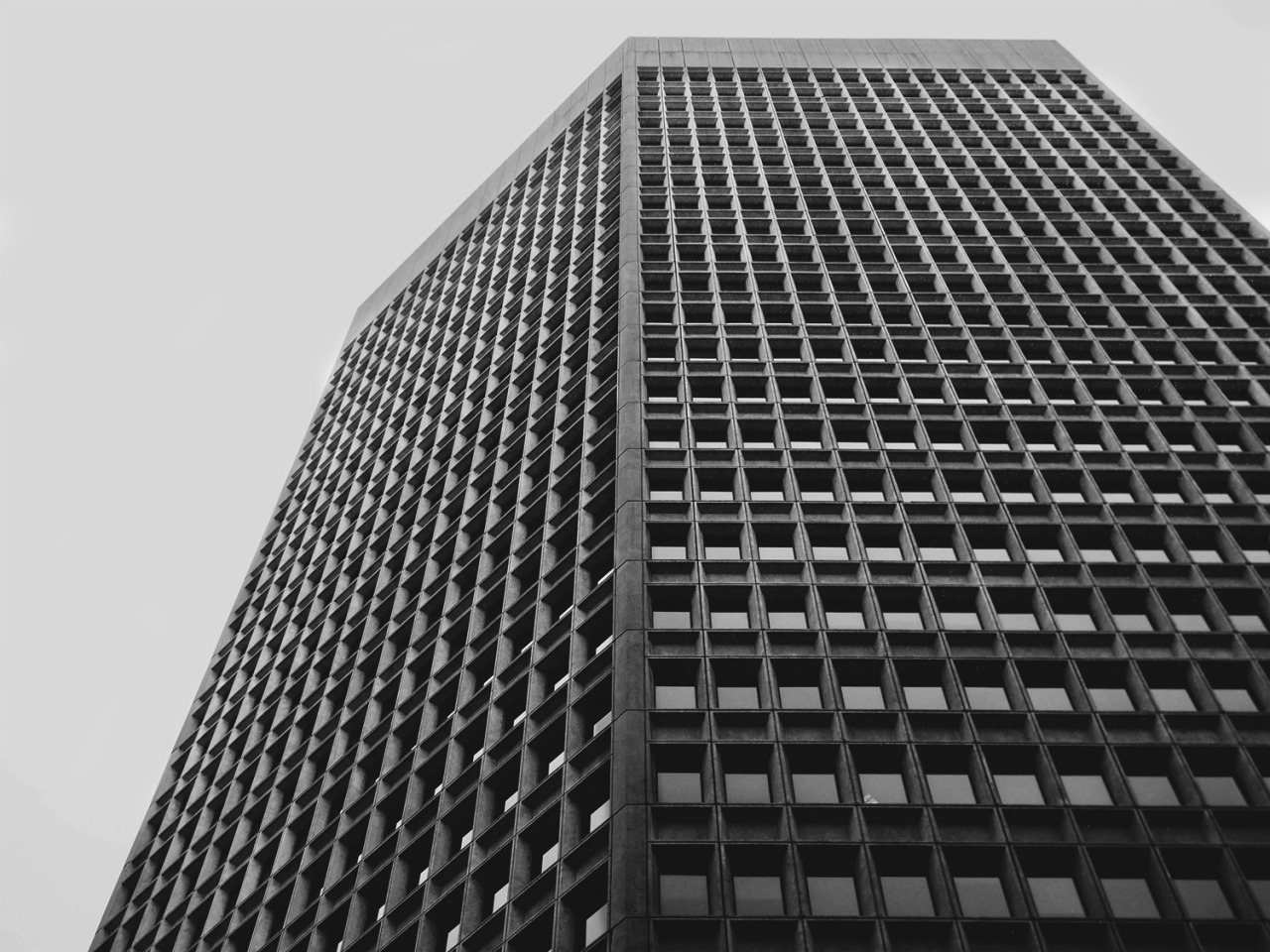 Archillect ID 76524