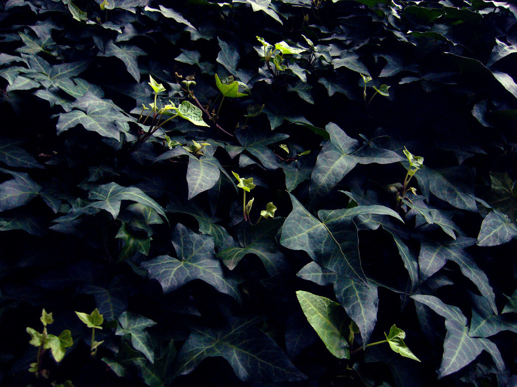 Archillect ID 76591
