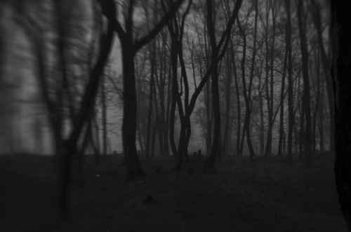 Archillect ID 76594