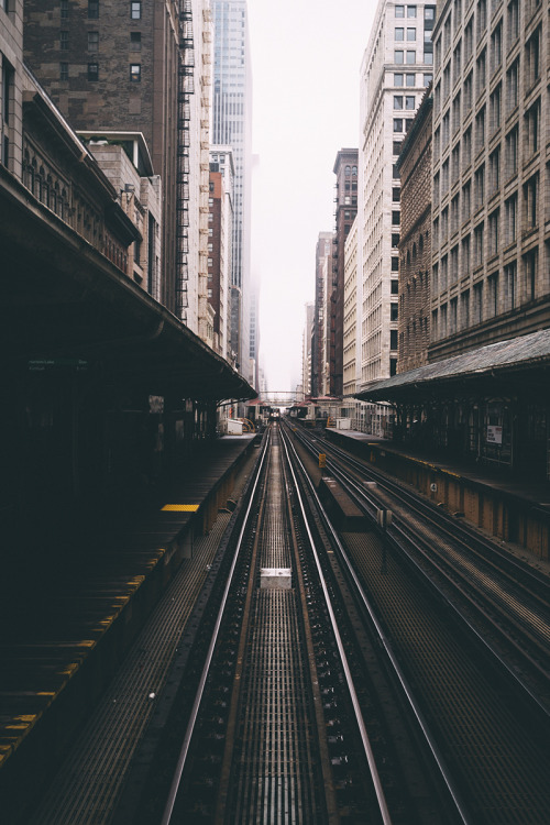 Archillect ID 76598