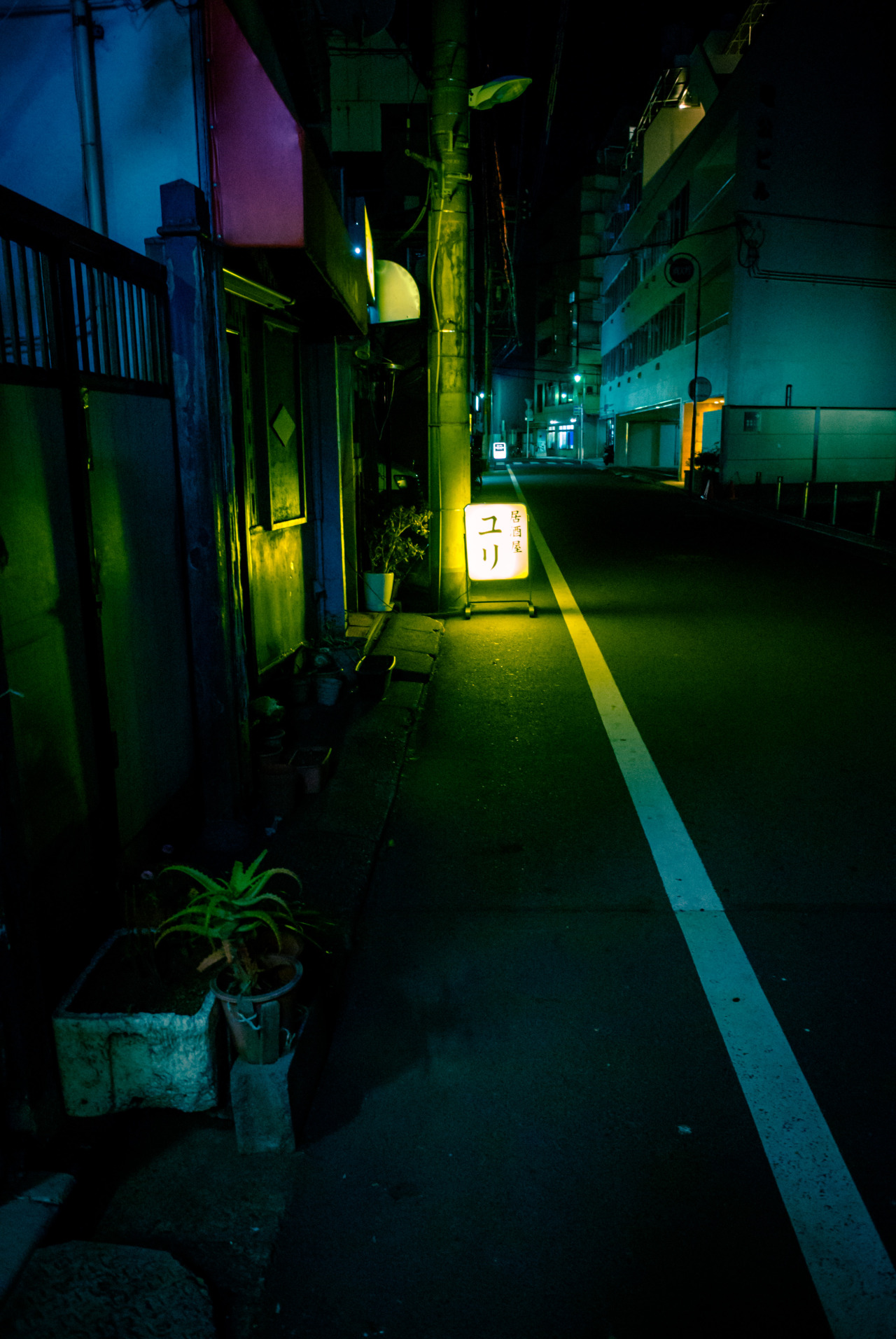Archillect ID 76600
