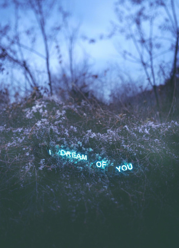 Archillect ID 76607