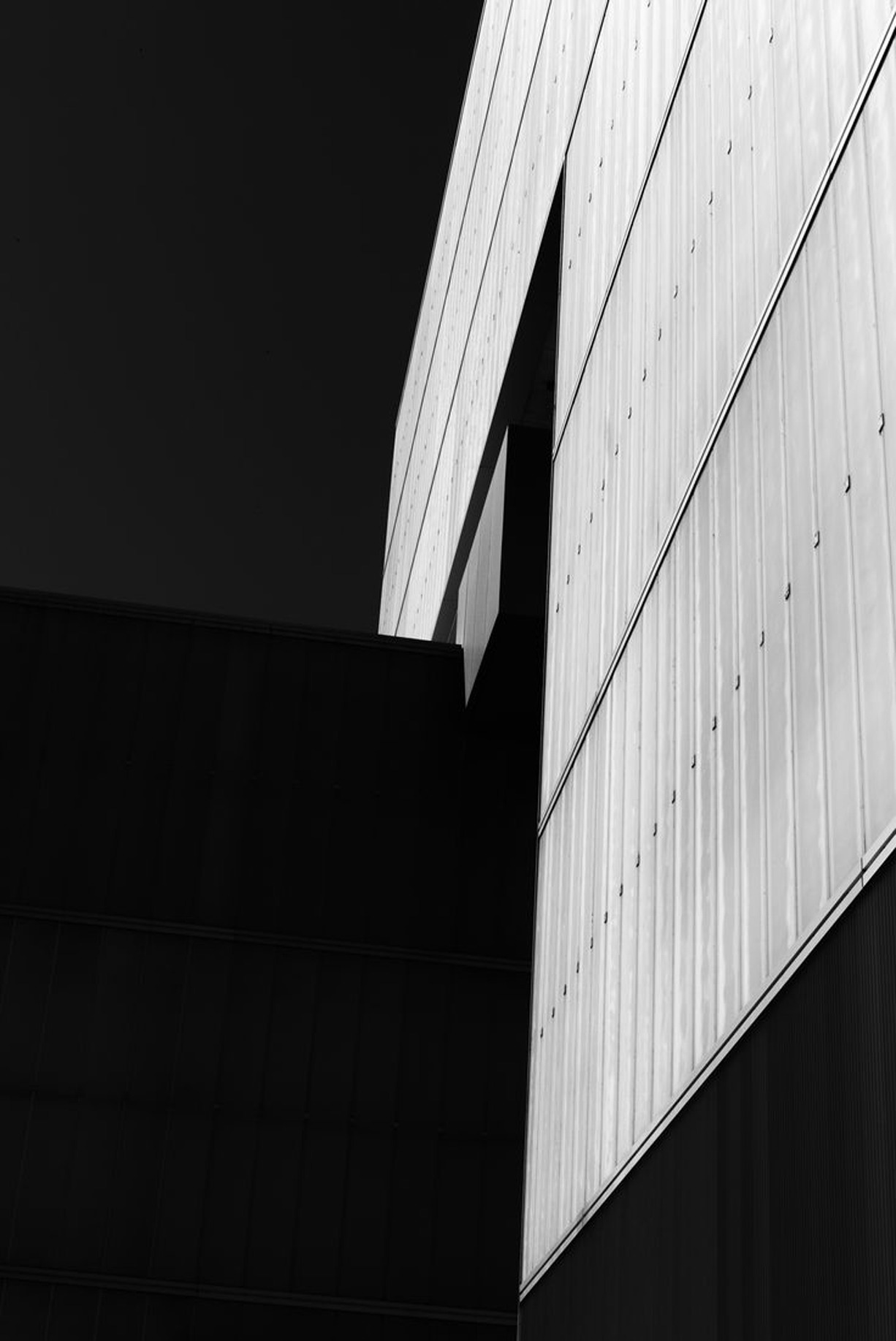 Archillect ID 76699