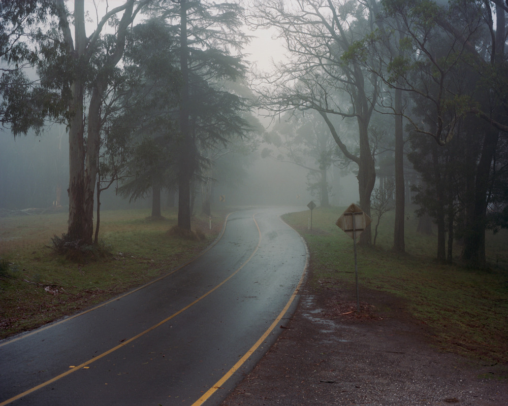 Archillect ID 76702