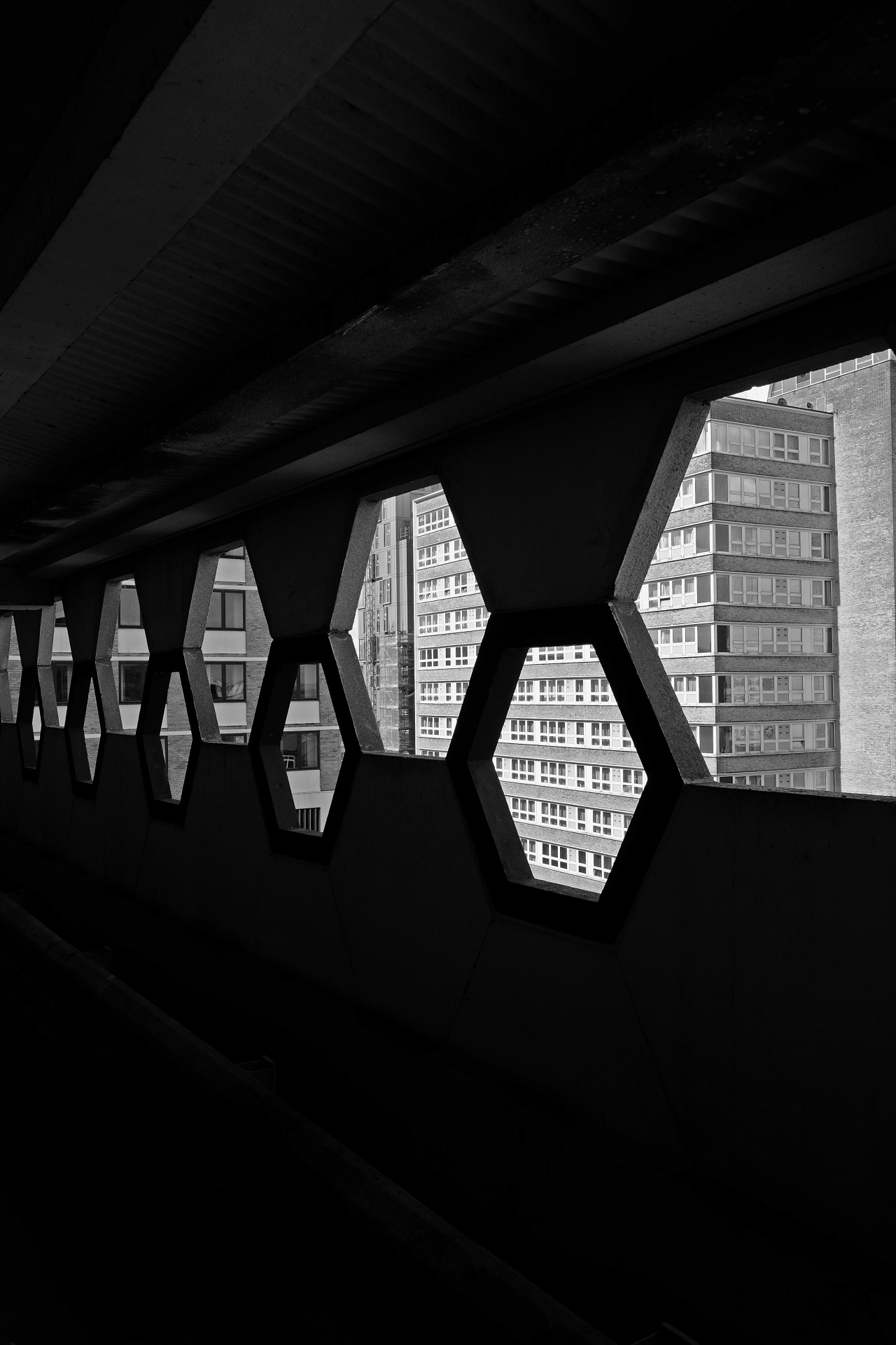 Archillect ID 76728