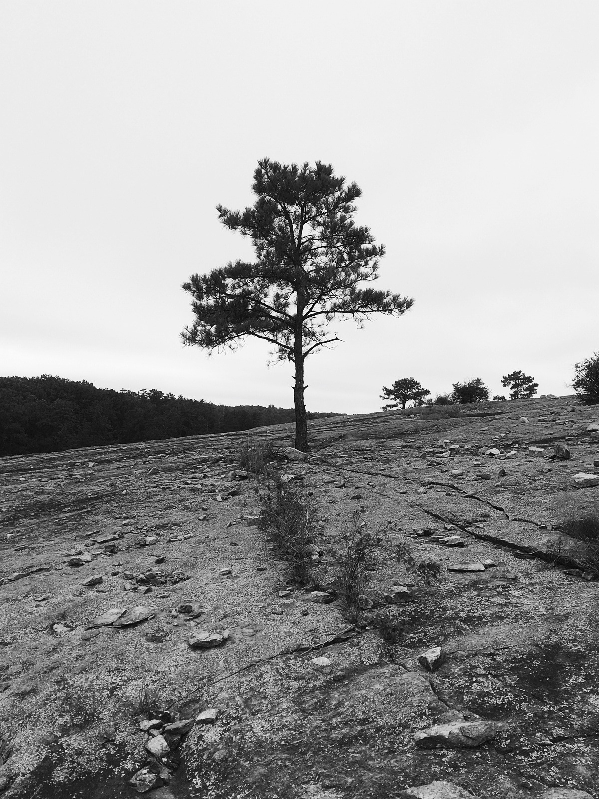 Archillect ID 76778
