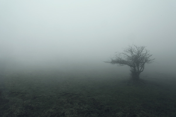 Archillect ID 76787