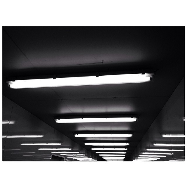 Archillect ID 76823
